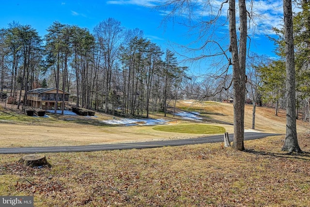119 Birchside Cir, Locust Grove, VA 22508 - view of yard