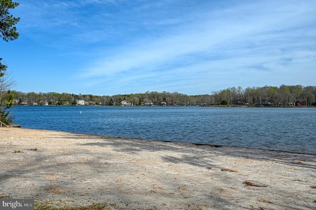 119 Birchside Cir, Locust Grove, VA 22508 - water view