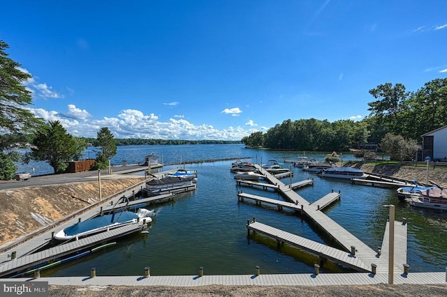 119 Birchside Cir, Locust Grove, VA 22508 - dock area with a water view