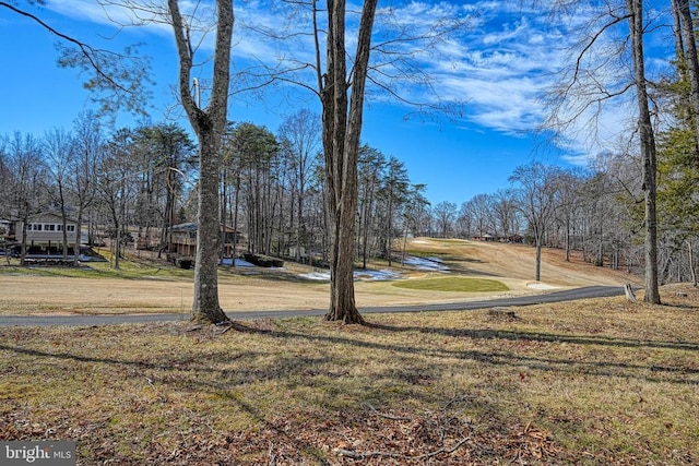 119 Birchside Cir, Locust Grove, VA 22508 - view of green lawn featuring view of scattered trees