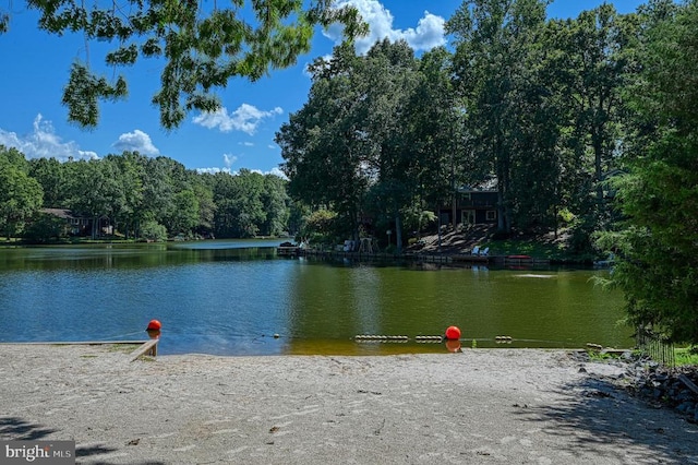 119 Birchside Cir, Locust Grove, VA 22508 - water view
