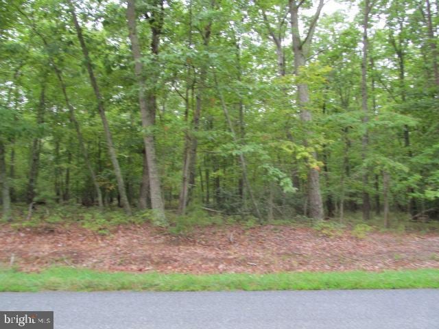 0 Kendall Rd, Orange, VA 22960 - photo 4