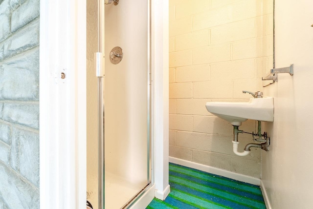 4490 N Valley Pike, Rockingham, VA 22802 - bathroom with a shower stall and concrete block wall