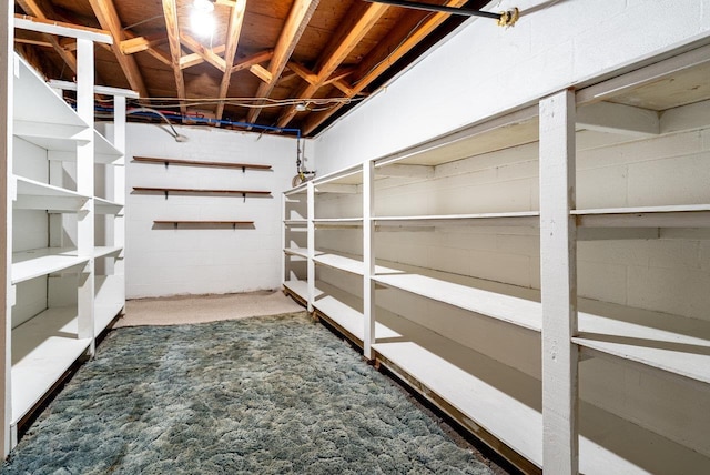 4490 N Valley Pike, Rockingham, VA 22802 - view of storage room