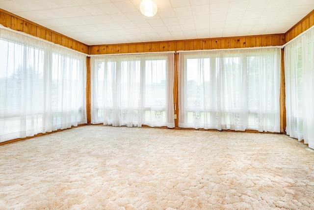 4490 N Valley Pike, Rockingham, VA 22802 - unfurnished sunroom with healthy amount of natural light, carpet flooring, and wooden walls