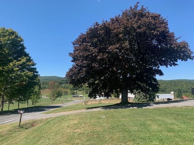 4600 Mountain Tpke, Monterey, VA 24465 - photo 7
