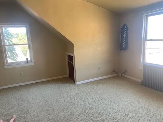 4600 Mountain Tpke, Monterey, VA 24465 - photo 25