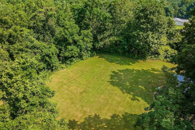 3914 Ida Rd, Luray, VA 22835 - aerial view of a forest