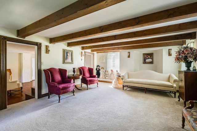 3914 Ida Rd, Luray, VA 22835 - living area with carpet and beam ceiling