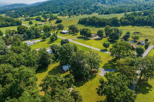 3914 Ida Rd, Luray, VA 22835 - bird's eye view of a mountainous background