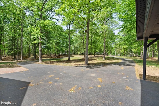  - view of yard