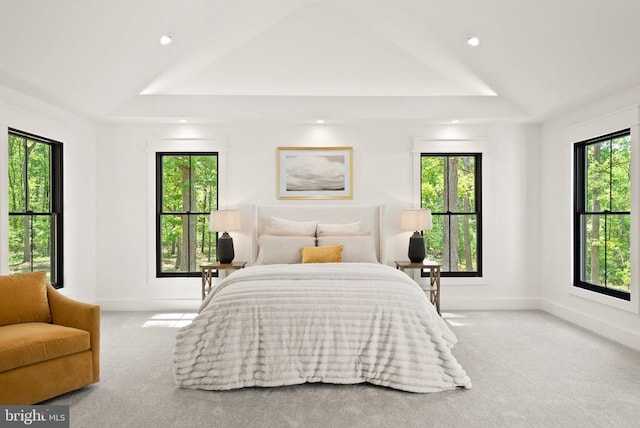  - bedroom with carpet flooring, baseboards, a raised ceiling, and recessed lighting