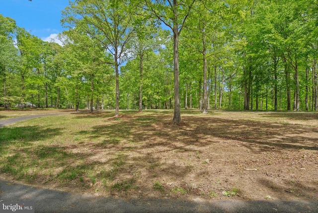 - view of yard