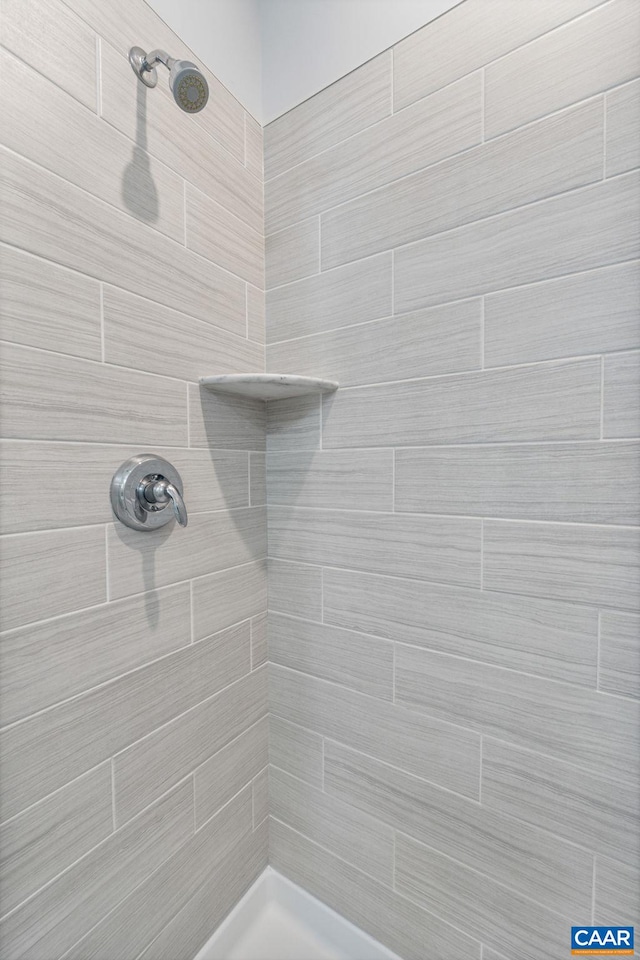 802 Wesley Ln Unit B, Charlottesville, VA 22911 - bathroom featuring tiled shower
