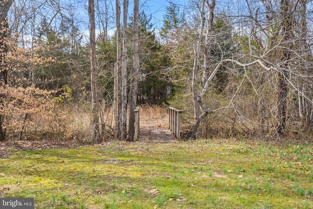 26438 Pennfields Dr, Orange, VA 22960 - view of yard