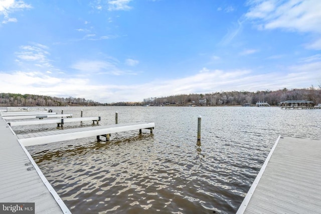 26438 Pennfields Dr, Orange, VA 22960 - dock area featuring a water view