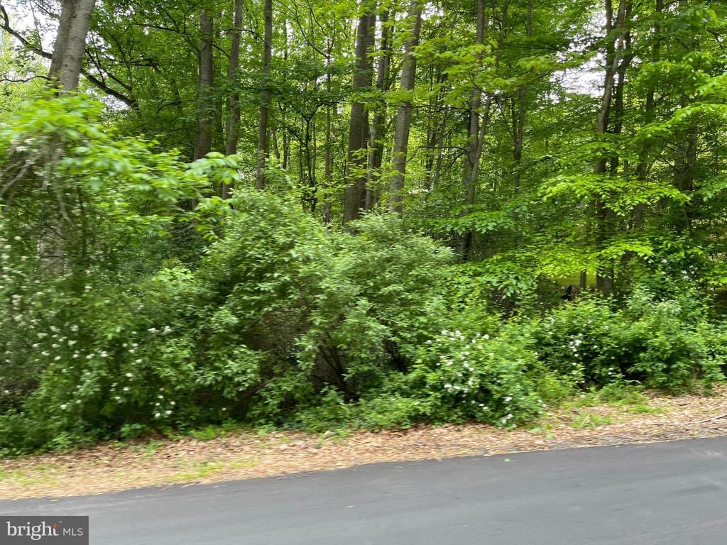 23360 Monrovia Rd, Orange, VA 22960 - photo 1