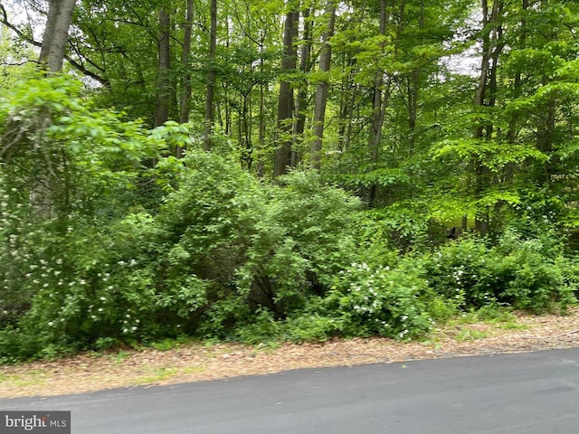 23360 Monrovia Rd, Orange, VA 22960 - photo 1