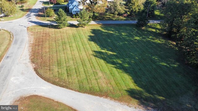 0 Louisa Ave, Mineral, VA 23117 - photo 6