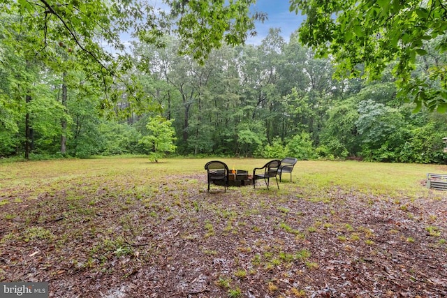 12805 Catharpin Rd W, Spotsylvania, VA 22551 - photo 28