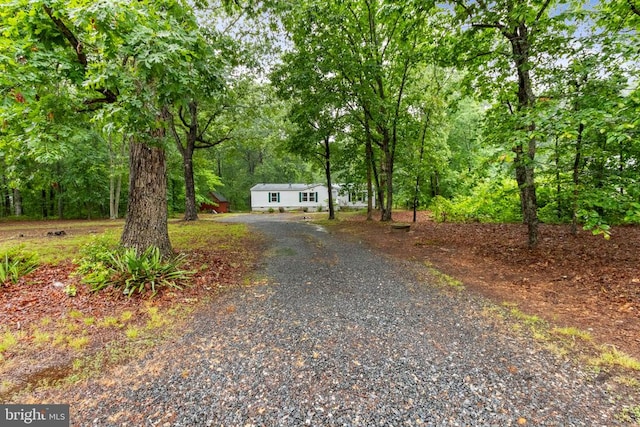 12805 Catharpin Rd W, Spotsylvania, VA 22551 - photo 34