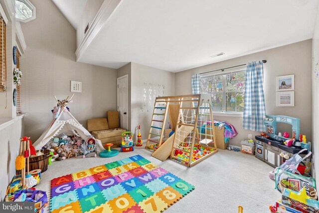372 Daniels Rd, Barboursville, VA 22923 - playroom with carpet flooring