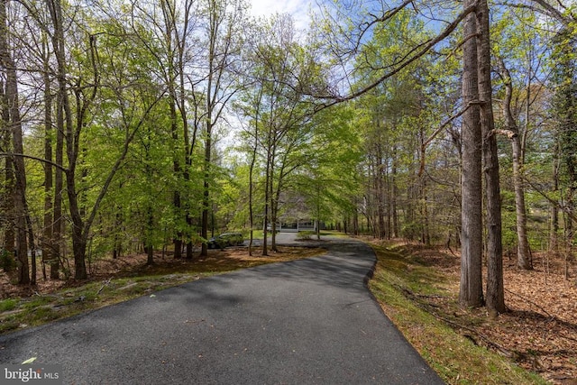 372 Daniels Rd, Barboursville, VA 22923 - view of asphalt driveway with a view of trees