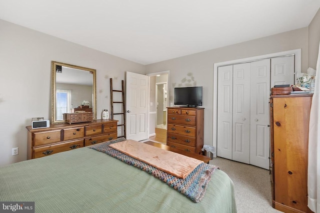 372 Daniels Rd, Barboursville, VA 22923 - bedroom with a closet