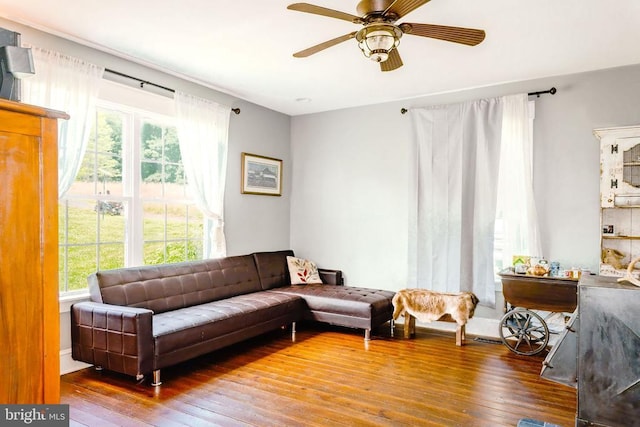 43 Briar Patch Ln, Boston, VA 22713 - living room featuring healthy amount of natural light, a ceiling fan, and hardwood / wood-style flooring