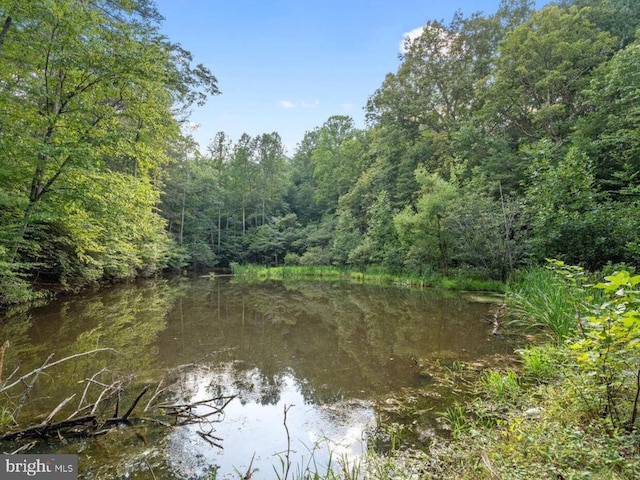 43 Briar Patch Ln, Boston, VA 22713 - water view with a heavily wooded area