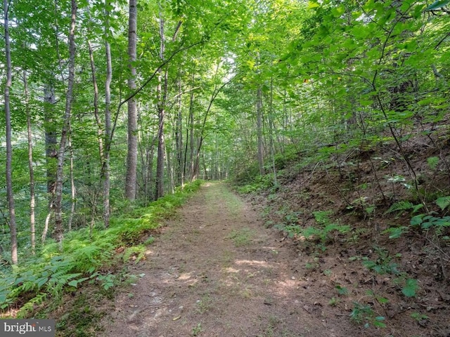 43 Briar Patch Ln, Boston, VA 22713 - view of woods