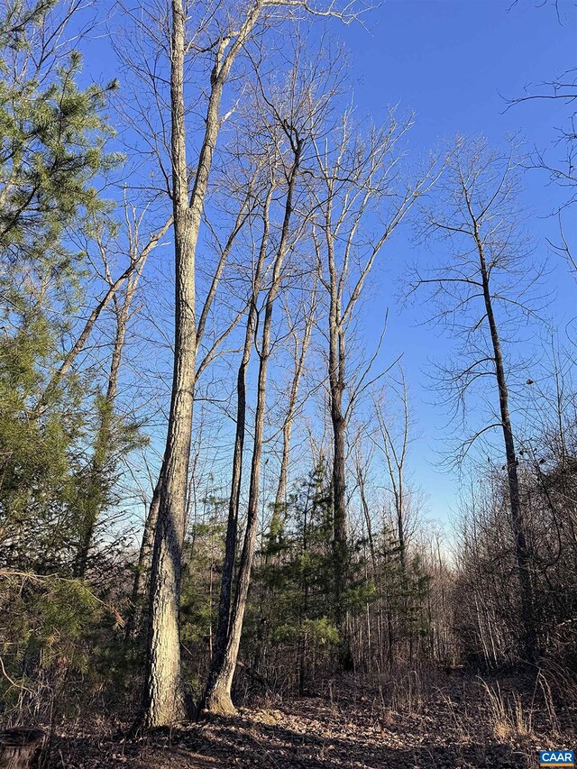 23-51ID W Hoover Rd W, W, VA 22727