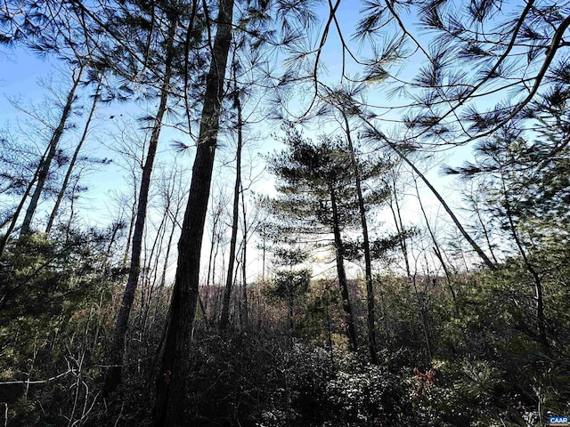 23-51ID W Hoover Rd W, W, VA 22727