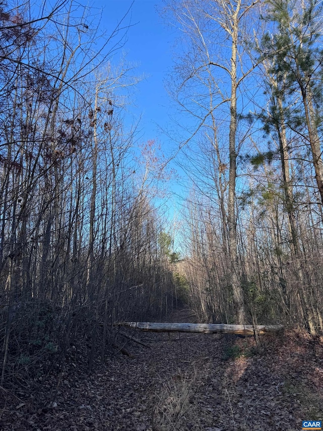 23-51ID W Hoover Rd W, W, VA 22727