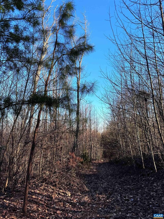23-51ID W Hoover Rd W, W, VA 22727
