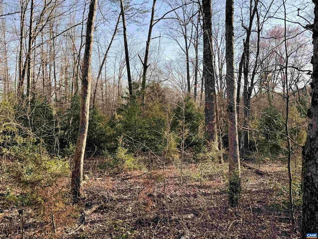 23-51ID W Hoover Rd W, W, VA 22727