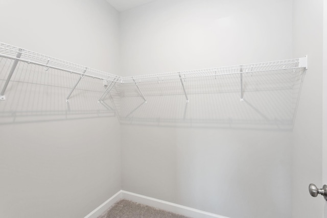 2779 Rutlege Rd Unit 194, Rockingham, VA 22801 - walk in closet with carpet flooring