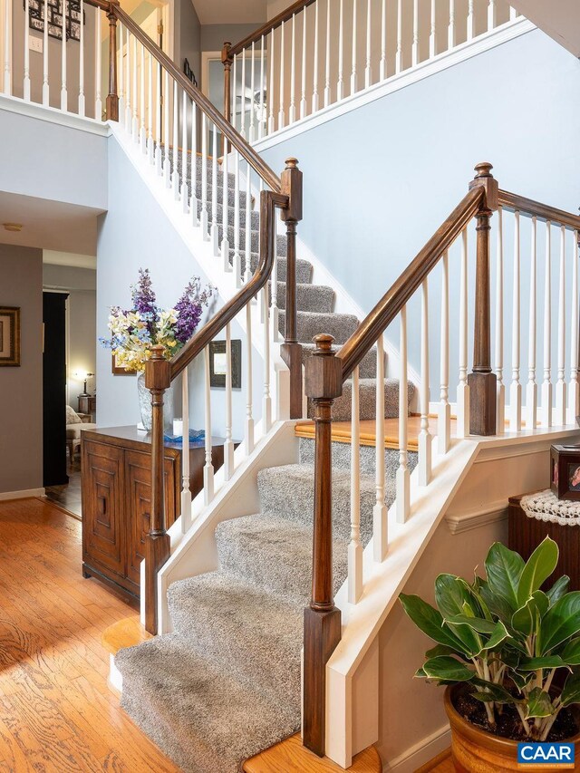 309 Leaping Fox Ln, Charlottesville, VA 22902