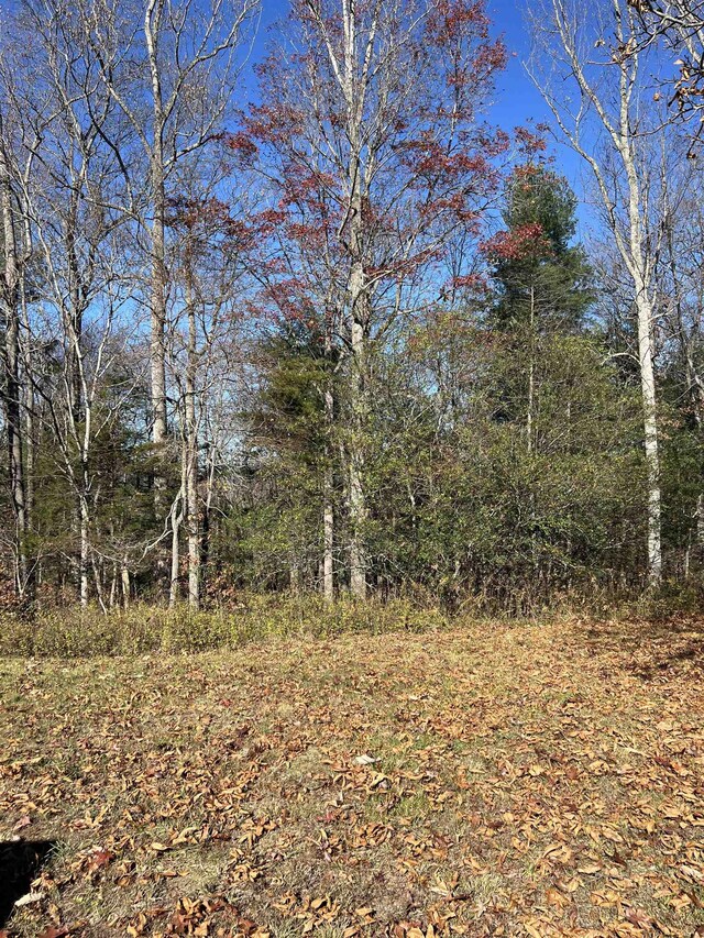 TBD Anderson Farm Rd, Rockbridge Baths, VA 24473 - photo 4