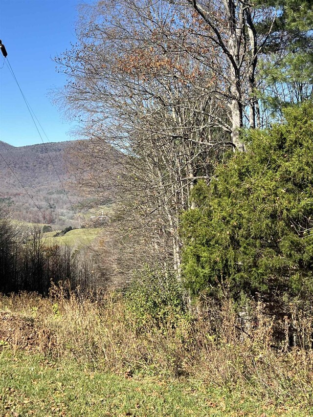 TBD Anderson Farm Rd, Rockbridge Baths, VA 24473 - photo 3