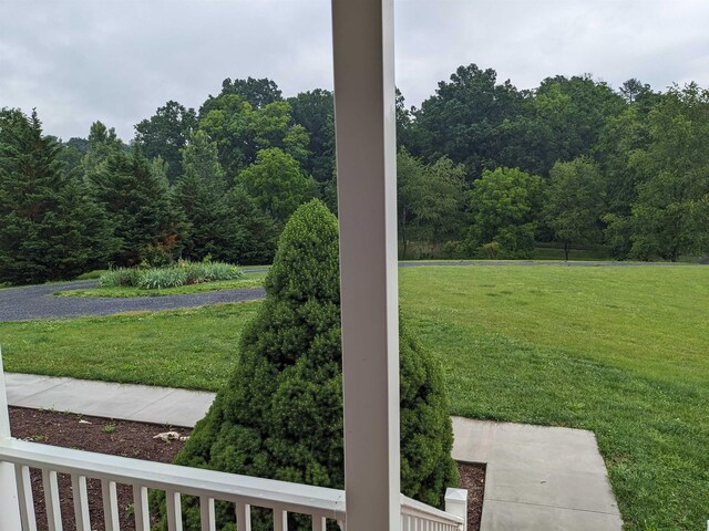 2295 New Market Depot Rd, New Market, VA 22844 - view of green lawn featuring a wooded view