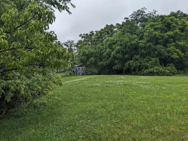2295 New Market Depot Rd, New Market, VA 22844 - view of grassy yard