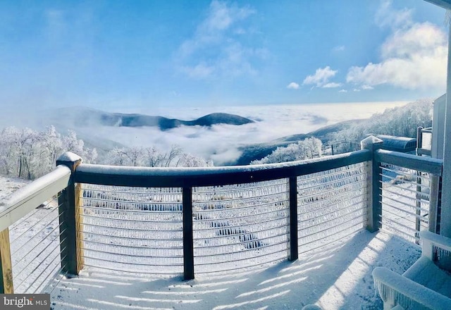 1421 Highlands, Roseland, VA 22967 - view of snow covered back of property