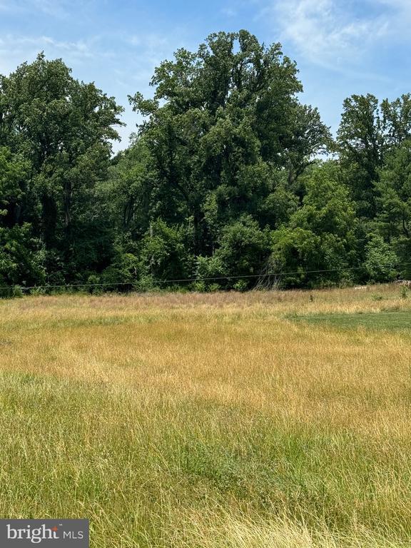 0 Obannon Rd, The Plains VA land for sale