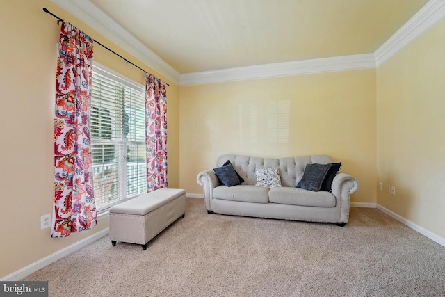 641 Keswick Dr, Culpeper, VA 22701 - carpeted living room with ornamental molding and baseboards