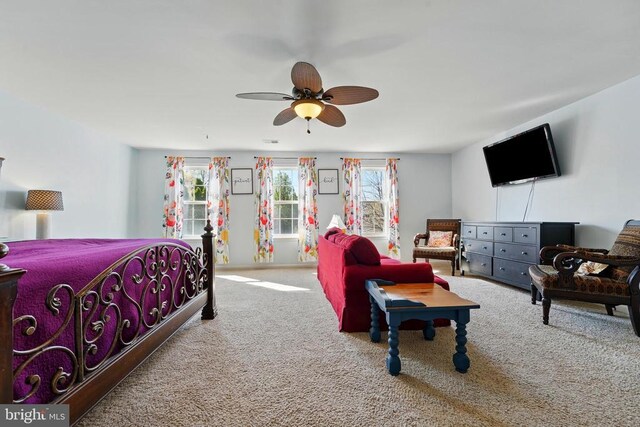 641 Keswick Dr, Culpeper, VA 22701 - bedroom with carpet flooring and a ceiling fan