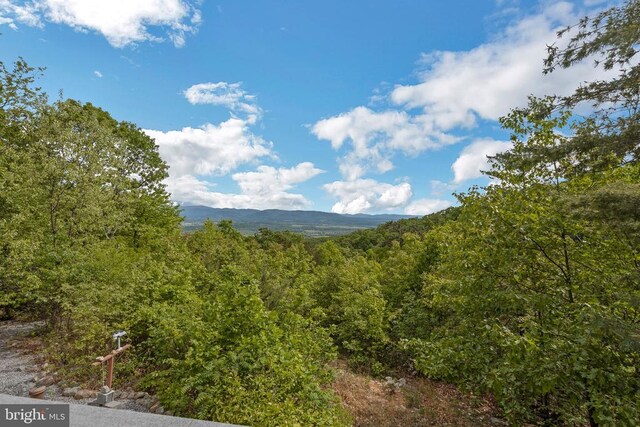 125 Deal Dr, Luray, VA 22835 - photo 13