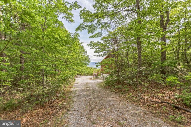 125 Deal Dr, Luray, VA 22835 - photo 16