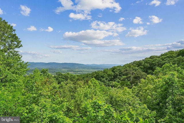 125 Deal Dr, Luray, VA 22835 - photo 4