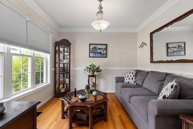 30 Beatrice Ct, Fishersville, VA 22939 - living room featuring light wood finished floors and ornamental molding